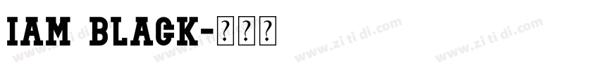 IAM BLACK字体转换